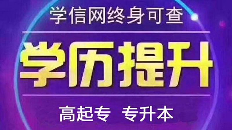 访谈记录：探索网络教育平台的未来之路